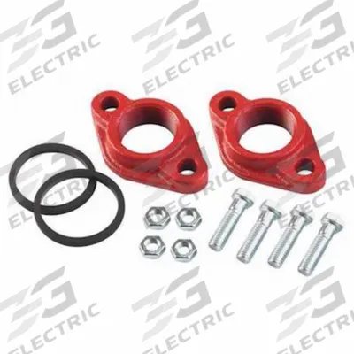 ARMSTRONG Flange Kits: 1 in, 816012-211K, 1 in FNPT, Flange - Standard Flanges