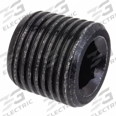 APPROVED VENDOR Plug: Hex Drive Solid Plug, 1/8 in, NPTF Threaded, Class 1000 - Zinc-Plated Threaded High-Pressure Pipe Fittings