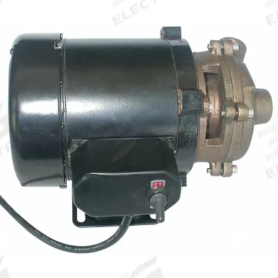 Dayton Marine Centrifugal Pump: Brass, 115V AC, 14.5 ft Max Head, 3/4 in - Marine Straight Centrifugal Pumps