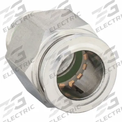AIGNEP USA Push-Fit Adapter Fitting: 10 mm OD x 1/4 in Pipe Size - Stainless Steel Tube Fittings