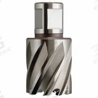 APPROVED VENDOR Annular Cutter: 2 in Cutter Dia, 1 in Max Cutting Dp, Bright, High Speed Steel (MPN 4THD1). Key specifications — attr253884: No; attr253885: Bright; attr253886: High Speed Steel; attr253887: Weldon Flat; attr253888: Fractional Inch; attr277149: APPROVED VENDOR.
