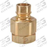 SNAP-TITE Hydraulic Quick Connect Hose Coupling: 1 1/4 in, Brass, 102.2 lpm Max. Flow Rate, Nitrile (MPN BVHN20-20F). Key specifications — Thread Size: 1-1/4"-11-1/2; Seal Material: Nitrile; Brand: SNAP-TITE.