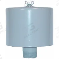 SOLBERG Filter Silencer: 1 in (M)NPT Inlet Size, 55 cfm, 6.62 in Overall Ht, 6 in Outside Dia (MPN F-19P-100). Key specifications — attr60071: F-19P-100; attr60074: SOLBERG.