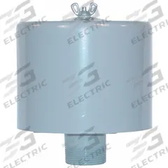 SOLBERG Filter Silencer: 1 in (M)NPT Inlet Size, 55 cfm, 6.62 in Overall Ht, 6 in Outside Dia (MPN F-19P-100). Key specifications — attr60071: F-19P-100; attr60074: SOLBERG.