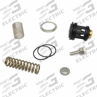 WILKINS Valve Repair Kit: EPDM/Resin/Rubber/Stainless Steel - Valve Repair Kits