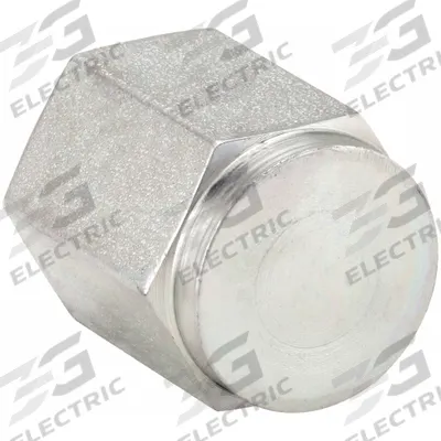 PARKER Cap: Cap, Steel, 3/4 in, NPT Threaded - Hydraulic Threaded Extreme-Pressure Pipe Fittings