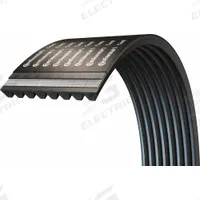 CONTINENTAL V-Belt: 8/8V2500, 8 Ribs, 253 in Outside Lg, 8 in Top Wd, 29/32 in Thick (MPN 20041136)
