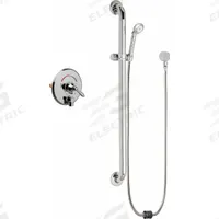 CHICAGO FAUCETS Shower Faucet: SH-TP, 2.5 gpm Handheld Showerhead Flow Rate, Plastic, 1 Handles (MPN SH-TP4-00-024). Key specifications — Showerhead Material: Plastic; Series: SH-TP.