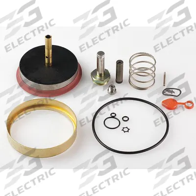 ASCO Valve Rebuild Kit (MPN 304355) - Repair Kits for Solenoid Valves