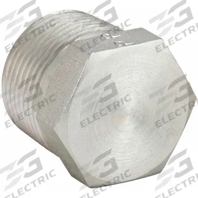 PARKER Plug: 2 in, NPT Threaded, 2,000 psi, Steel, 1 11/16 in Lg - Threaded High-Pressure Pipe Fittings