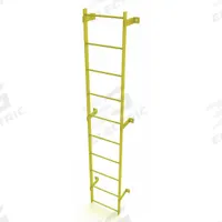 TRI-ARC Ladder,Steel,Standard Fixed,10-Rung: 10 ft Overall Ht, 25 in Overall Wd, Steel, 10 Rungs (MPN WLFS0110-Y). Key specifications — Brand: TRI-ARC; Number of Sections: 1.