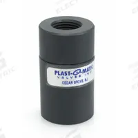 PLAST-O-MATIC Check Valve: Diaphragm, Inline Valve Body, 1/4 in Pipe Size, FNPT x FNPT, PVC, Female (MPN CKD025V-PV). Key specifications — Brand: PLAST-O-MATIC; Diaphragm Material: FKM.