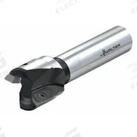 WALTER Indexable Square Shoulder End Mill: M2131-032-A20-02-15-S (MPN 6836944). Key specifications — attr257066: M2131-032-A20-02-15-S.