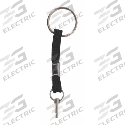 SAFETY TECHNOLOGY INTERNATIONAL Deactivation Pin: Nickel, 4 3/4 in Overall Lg - Keys for Alarm & Wall Fixture Covers