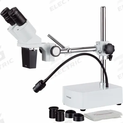 GLOBE SCIENTIFIC Microscope: Stereo, Binocular, 10X to 20X, 228.6 mm - Stereo Microscopes