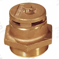 APPROVED VENDOR Pressure & Vacuum Relief Vent: Brown, 3 psi Min Opening Pressure, 2 in Pipe Size (MPN 08101). Key specifications — attr1187441: Vertical; attr1187442: Brass; attr1187443: Pressure & Vacuum Relief Vent; attr1187444: NPS; attr1187446: Brown; attr1187449: Male; attr1187450: Petroleum Chemicals; attr1187452: Yes.