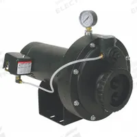 DAYTON Convertible Well Jet Pump: Thermoplastic, Single Phase, 115/230V AC, 1 1/2 hp, 110 ft Head (MPN 4HEZ7). Key specifications — Brand: DAYTON; Rated Voltage: 115/230V AC; Includes: Pressure Gauge; Ejector Included: No Ejector Included; Ejector: Not Included.