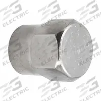 TRU-FLATE Hex Valve Cap: Tire Valve Caps, Seal, Hex, Chrome, 3 3/4 in Overall Lg, Brass (MPN 38-712-100). Key specifications — Compatible Valve Size: Standard Bore; Color: Chrome; Product Type: Tire Valve Caps; Shape: Hex; Design: Seal; Compatible Thread Size: 0.305-32; Finish: Chrome Plated; Material: Brass.