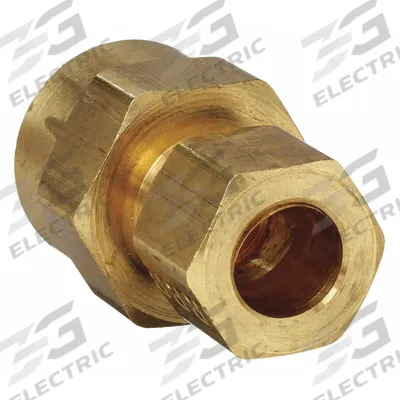 PARKER Compression Fitting Adapter: 1/4 in OD x 1/4 in Pipe Fitting Size, Compression x FNPTF - Standard Sleeve Brass Compression Fittings
