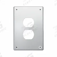 LEGRAND Wall Plate: Duplex Outlet, 1 Gang, Silver, Jumbo Size (MPN WSP61D1PS). Key specifications — Brand: LEGRAND; Material: Stainless Steel; Includes: Torx Security Screws.