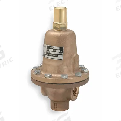 CASH VALVE Adjustable Back Pressure Valve: FNPT x FNPT, 1 in x 1 in, Cast Iron - Cast Iron General Purpose Pressure Regulators