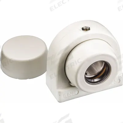 NTN Pillow Block Bearing: 1 7/16 in Bore Dia, Polymer - Food-Grade Tapped-Base Pillow Block Ball Bearings