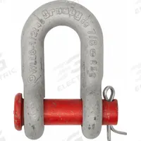 CROSBY Round Pin Chain Shackle: D-Shackle, 17,000 lb Working Load Limit, 1 in Body Thick, Galvanized (MPN 1018972). Key specifications — Body Material: Carbon Steel; Brand: CROSBY.