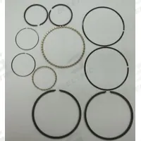 CHAMPION Ring Set,complete,10/15 Pumps: Z799, PL15A/RP15/RV15A/RV30A. Key specifications — attr948866: Z799; attr948874: Ring Set; attr948868: 1WD22; attr948869: RP15.