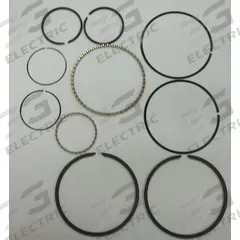 CHAMPION Ring Set,complete,10/15 Pumps: Z799, PL15A/RP15/RV15A/RV30A. Key specifications — attr948866: Z799; attr948874: Ring Set; attr948868: 1WD22; attr948869: RP15.