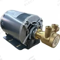 FLUID-O-TECH Rotary Vane Pump: Direct Drive, 1/3 hp, 115/230V AC, Brass Body, Carbon Graphite Vanes (MPN PA200-33M). Key specifications — Brand: FLUID-O-TECH; Strainer: Not Included; Ports: 3/8" NPT.