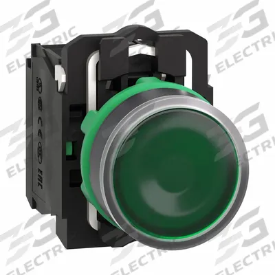 SCHNEIDER Illuminated Push Button: Illuminated, Flush Profile, Non-Metallic, 22 mm - Illuminated Flush-Mount Push Buttons