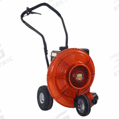 BILLY GOAT Gas-Powered Walk-Behind Blower: 200 mph Max Air Speed, Push Drive - Walk-Behind Blowers
