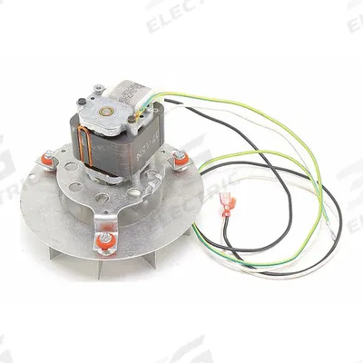 REZNOR Venter Assembly: Venter Motor and Wheel Assembly, UDAP-100 - Replacement HVACR Fans, Filters & Ventilation Parts