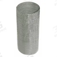 APPROVED VENDOR Strainer Screen: Perforated, 0.0625 in Screen Size, 1.78 in Lg (MPN 20H631). Key specifications — Brand: APPROVED VENDOR; Manufacturer Part Number: 20H631; Screen Material: 304 Stainless Steel.
