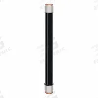 MERSEN Fuses: 9F60 Series, E-Rated, Gen Purpose, 2 A, 38 kV AC, Indicating (MPN 9F60FPK002). Key specifications — Brand: MERSEN; Series: 9F60.