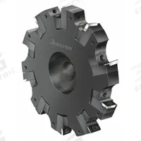 WALTER Indexable Slitting Cutter: F2252.BN.160.Z06.12.S685 (MPN 5000725). Key specifications — attr257007: F2252.BN.160.Z06.12.S685.