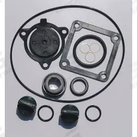 APPROVED VENDOR Seal Kit: Mfr Part # 24D048, Dayton. Key specifications — Includes: Mechanical Seal; Product Type: Seal Kit; Manufacturer Part Number: 24D048.