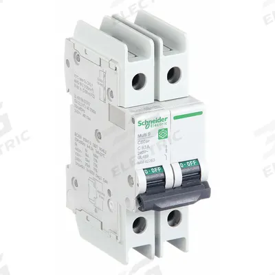 SCHNEIDER Miniature Circuit Breaker: 63 A Amps, 14kA at 120/240V AC, Screw Clamp - C-Curve, 2-Pole UL489 DIN Rail-Mount Miniature Circuit Breakers