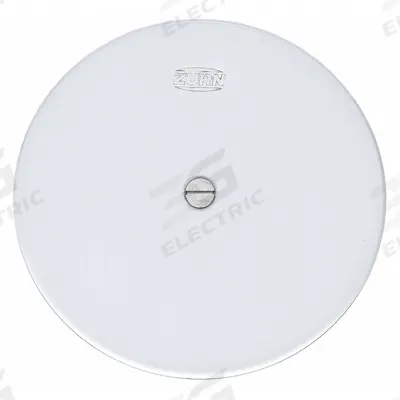 ZURN Cover: 7 in Overall Dia, 1/8 in Overall Ht, Stainless Steel, Unfinished - Wall Cleanout Covers