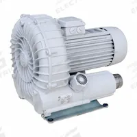 SCHMALZ Vacuum Blower: 110 cu m/hr, 60 mm, 1 1/2 in G Female, 10.04.01.00089, SB, 6.9/3.45/6.85 A. Key specifications — attr123938: 10.04.01.00089; attr1014957: 230/460V; attr1014966: 6.9/3.45/6.85 A.