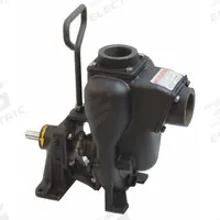 BANJO Centrifugal Pump Head: 2 in FNPT, 2 in FNPT, 147 gpm Flow Rate @ 20 Ft. of Head, Centrifugal (MPN 200PBI). Key specifications — Volute Material: Cast Iron; Brand: BANJO; Shaft Type: Solid.
