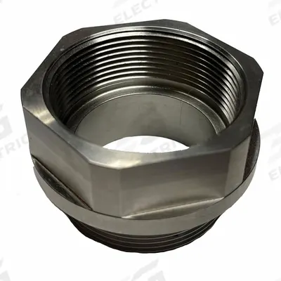 ACTION PUMP Bung Adapter: Bung Adapter, 316 Stainless Steel, 2 in - Bung Adapters