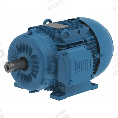 WEG Metric Motor: 5 1/2 hp, Rigid Base Mount, 112M Frame Size, Totally Enclosed Fan Cooled - Rigid Base 3-Phase IEC Metric General Purpose AC Motors