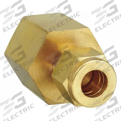 PARKER Compression Fitting Adapter: 1/4 in OD x 1/8 in Pipe Size, Compression x FNPT - Double-Ferrule Brass Compression Fittings