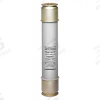 MERSEN Medium Voltage Fuse: A480R Series, R-Rated, 4.8 kV AC, 100 A, Time-Delay, Indicating (MPN A480R3R-1). Key specifications — Series: A480R; Brand: MERSEN.