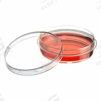 GLOBE SCIENTIFIC Tissue Culture Well Plate: Sterile, 7 mL, 60 mm Dia, RNase/DNase Free, Round (MPN TC-DISH-60). Key specifications — Brand: GLOBE SCIENTIFIC; Body Color: Colorless; RNase/DNase Free: Yes; Well Shape: Round; Material: Polystyrene.