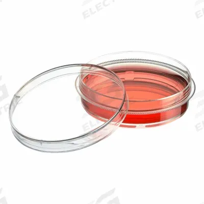 GLOBE SCIENTIFIC Tissue Culture Well Plate: Sterile, 7 mL, 60 mm Dia, RNase/DNase Free - Cell Culture Plates