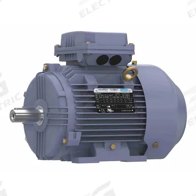 MARATHON MOTORS Metric Motor: 4 hp, Rigid Base Mount, 100L Frame Size - Rigid Base 3-Phase IEC Metric General Purpose AC Motors