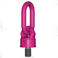 RUD CHAIN Hoist Ring: Pivot/Swivel, Steel w/Pink Powder-Coated Bail, M64-1.5, Max. 35,270 lb (MPN 7999043). Key specifications — Brand: RUD CHAIN; Thread Size: M64-1.5; Operation: Lifting.