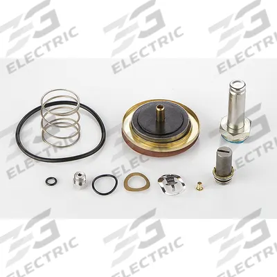 ASCO Valve Rebuild Kit (MPN 323478) - Repair Kits for Solenoid Valves